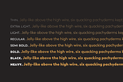 Trenda, a Sans Serif Font by Latinotype (Thumbnail 12 of 15)