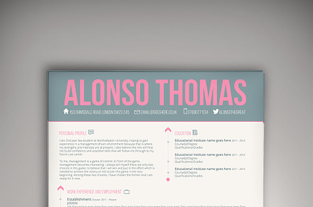Bubblegum CV/Resume + Business Card