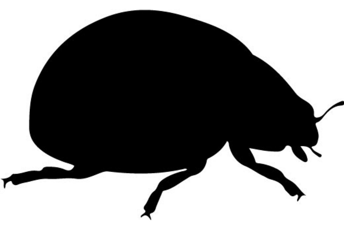 20 Ladybug Silhouette Mega, an Object Graphic by Designer_Momina (Photo 14 of 20)