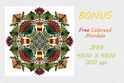 Drawn mandalas in folk style flower, a Brushes & More by dnapslvsk (Thumbnail 4 of 5)