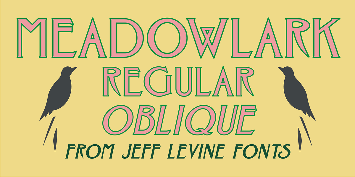 Meadowlark JNL, a Serif Font by Jeff Levine Fonts