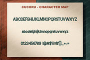 Cucoru | Modern Luxury Serif Typefac, a Serif Font by Astuti Studio (Thumbnail 4 of 24)