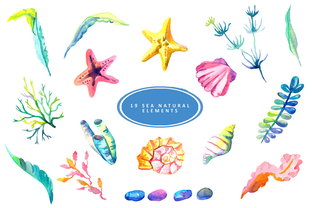 Hello SEA - watercolor collection, an Illustration by Kseniya_design (Photo 3 of 11)