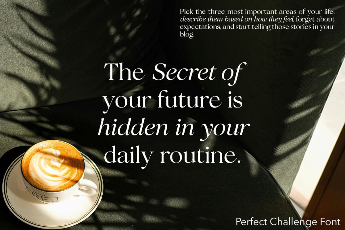 Perfect Challenge Serif Family, a Serif Font by Mulkan Nazir (Photo 8 of 22)