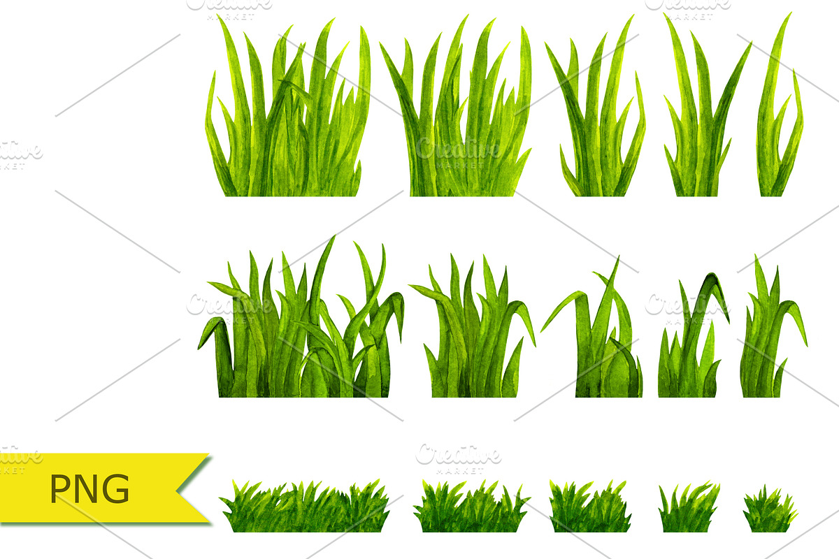 Watercolor Green Grass, an Object Graphic by Color_Brush (Photo 3 of 3)