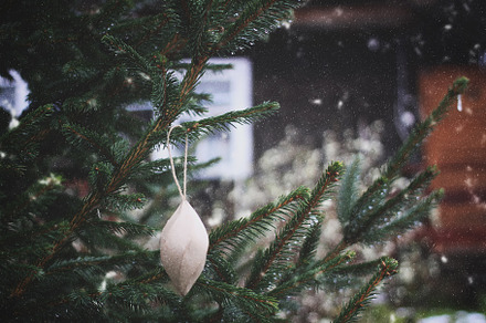 Christmas decor outdoors, a Holiday Photo by pictures for you