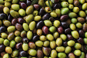 Mixed green, black, and purple olives with fresh olive branch, s, a Photo by Studio ANNA