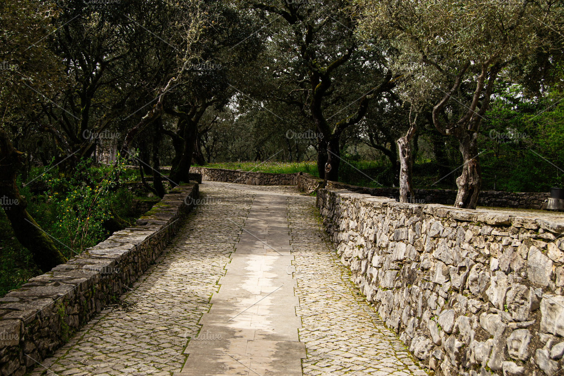 Cobblestone pathway surrounded by trees in Fatima, Portugal scenic nature, a Photo by AS photostudio