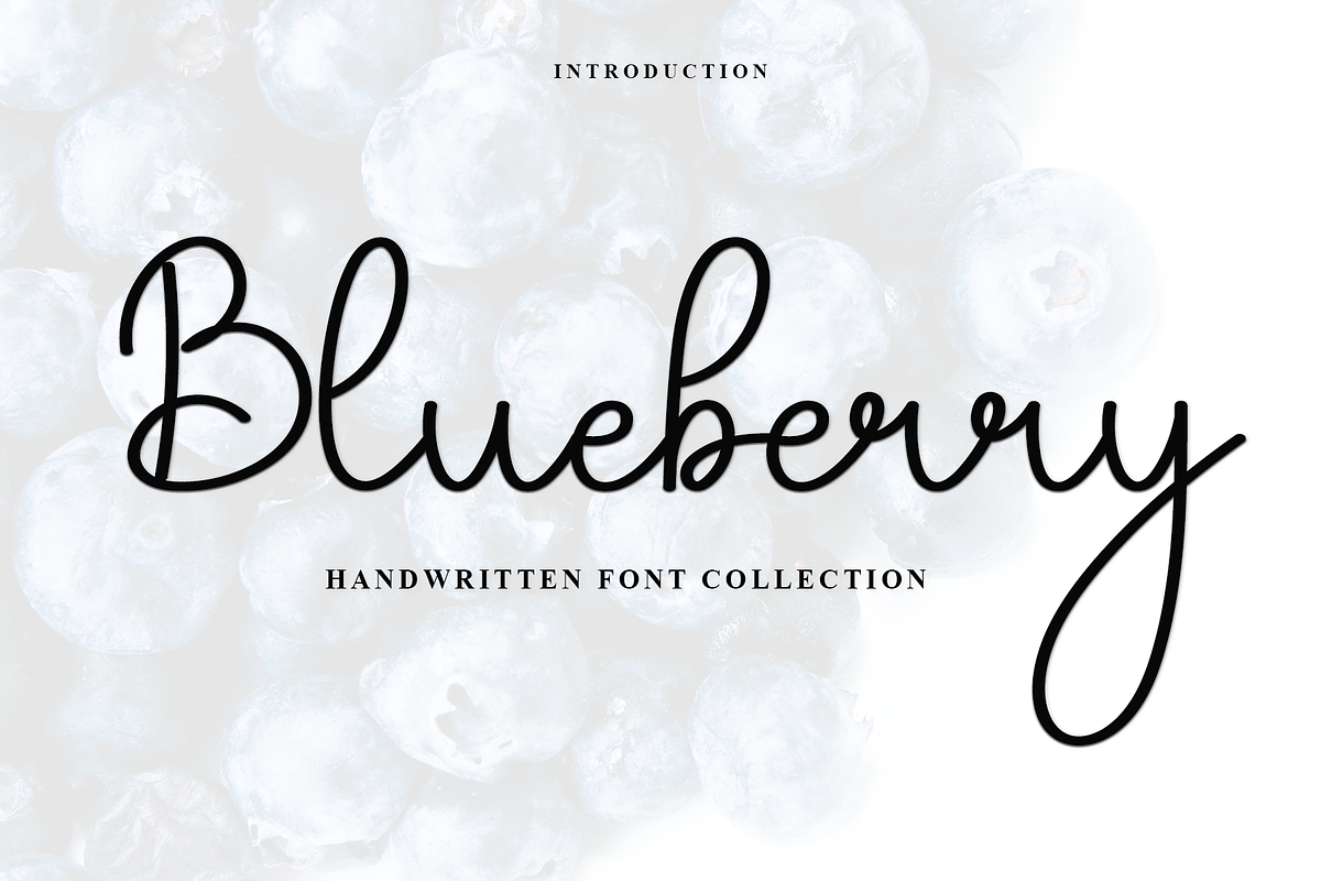 Blueberry, a Handwritten Font by InermediaSTUDIO (Photo 1 of 7)