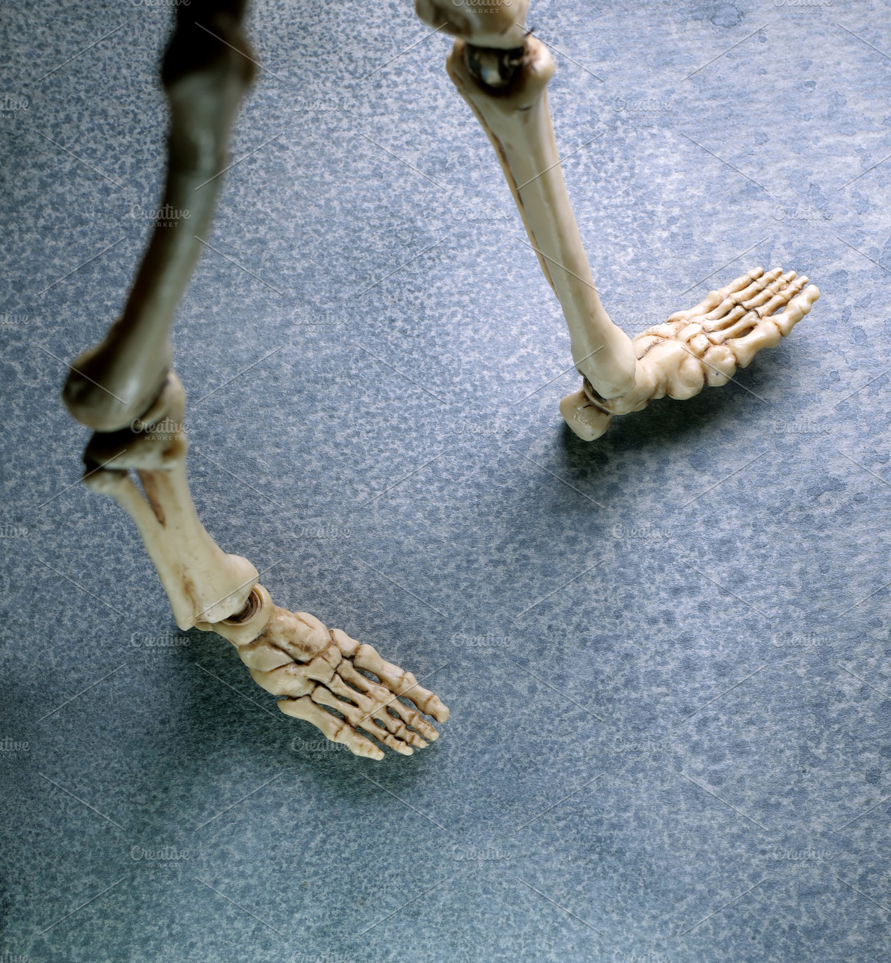 Close up human skeleton featuring skeleton, human, and bone, a Health ...