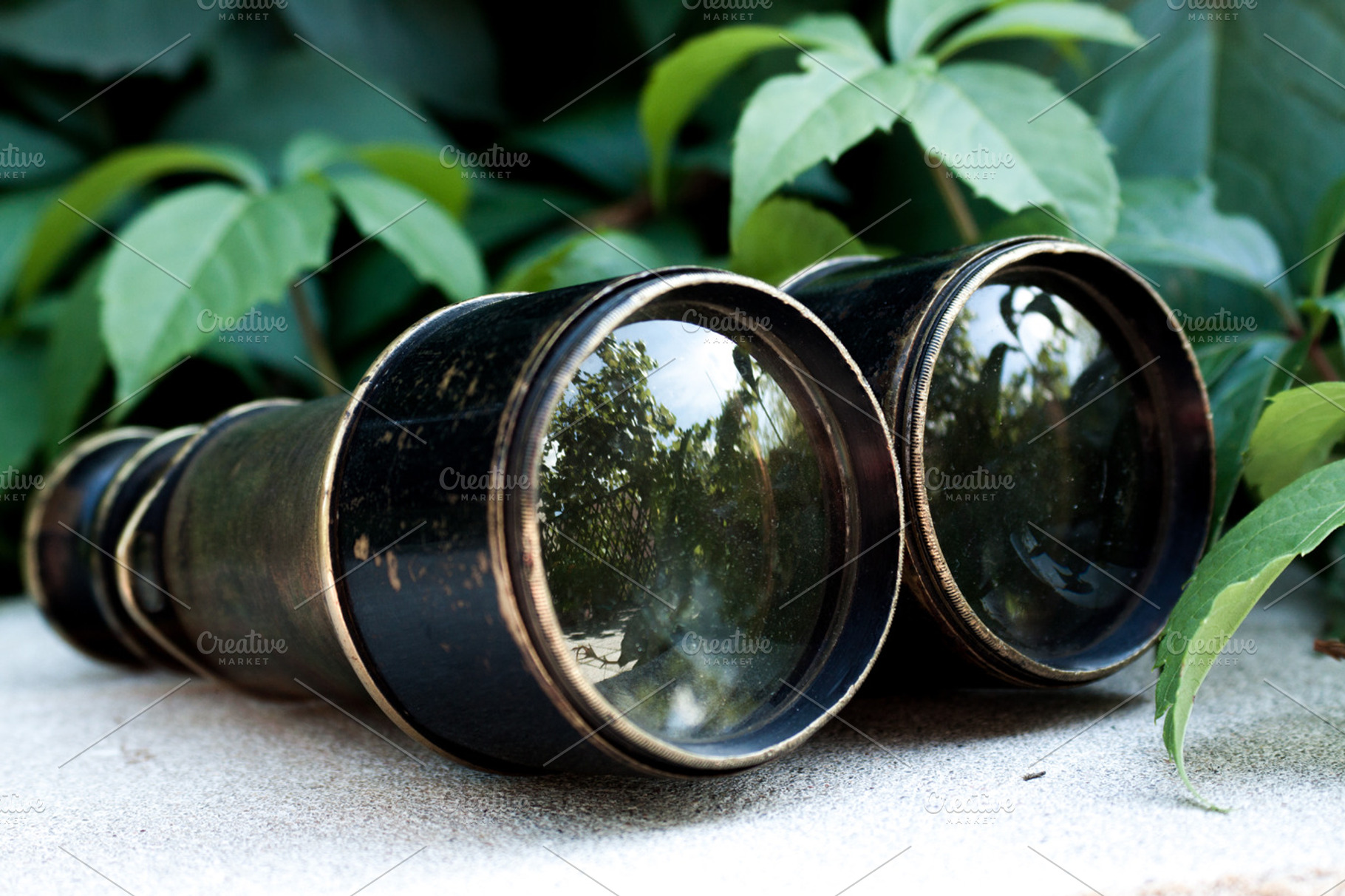 Antique binoculars III