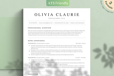 ATS Resume Template | Simple Resume