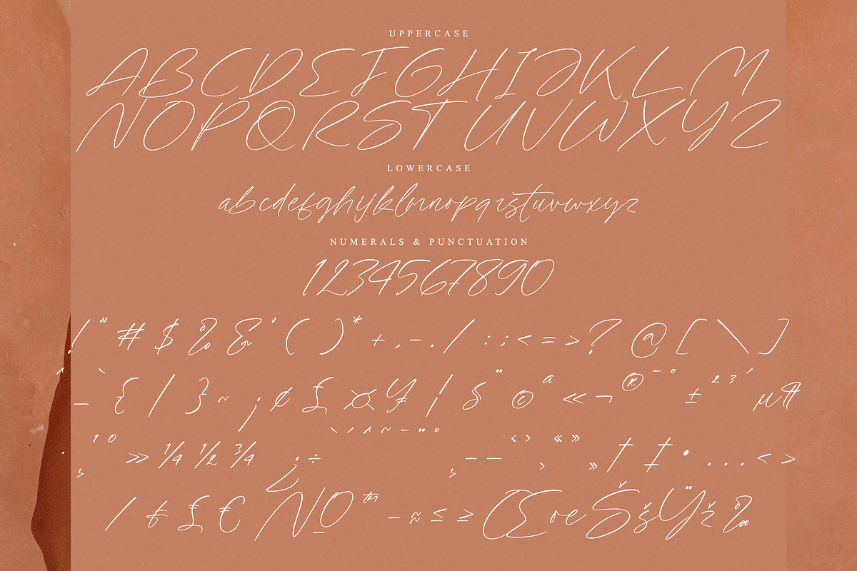 Artfully Stylish, a Script Font by operatype.co (Photo 13 of 15)