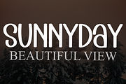 Darling, a Serif Font by InermediaSTUDIO (Thumbnail 3 of 7)