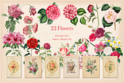 Vintage Valentine Creator, an Object Graphic by The Object Atlas (Thumbnail 2 of 9)