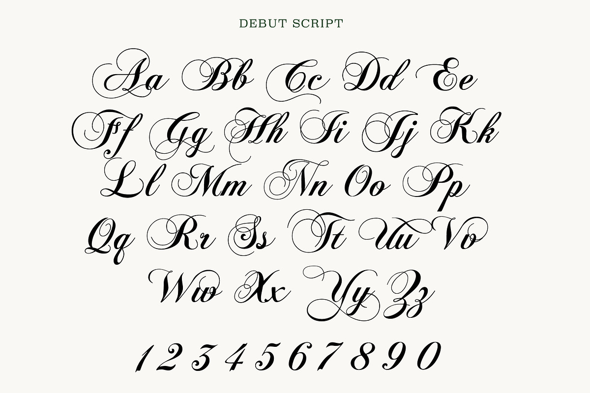 Debut - Serif & Script Duo, a Script Font by Loudoun Design Co. (Photo 5 of 9)