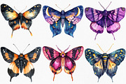 Watercolor Night Moths Clipart, an Illustration by Canvas Craft (Thumbnail 4 of 8)
