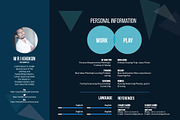 Professional CV PowerPoint Templates, a Presentation Template by MRI STUDIO (Thumbnail 7 of 13)