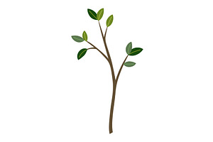 Life cycle of lemon tree. Vector, an Object Illustration by the8monkey
