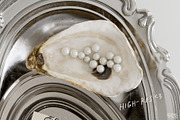 TREASURES OF THE SEA white mockup, a Product Mockup by Stykke Studio (Thumbnail 2 of 10)