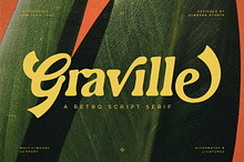 Graville – Retro Script Serif