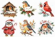 Watercolor Christmas Birds Clipart, an Illustration by Craft Nest (Thumbnail 2 of 6)
