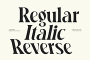 CS Brandis – Modern Serif Font, a Serif Font by Craft Supply Co. (Thumbnail 7 of 8)