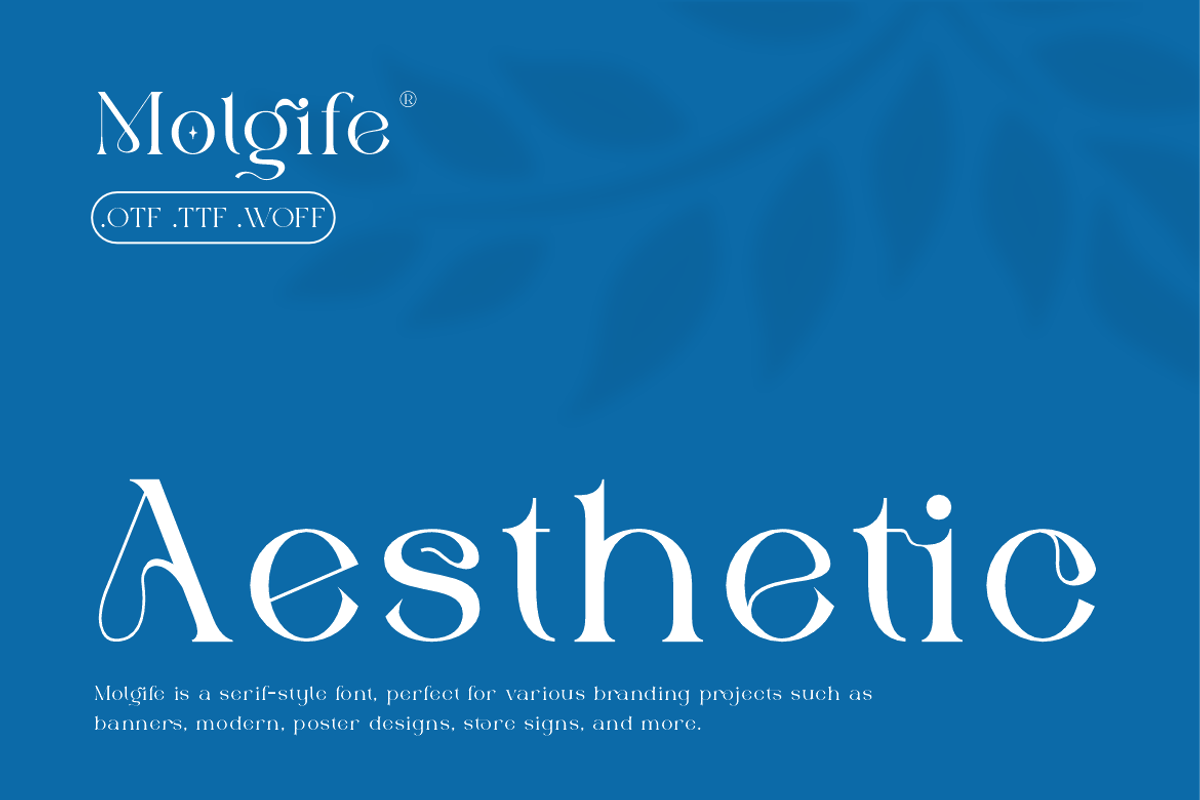 Molgife - Fashion Brand Font, a Serif Font by Iqsiart Studio (Photo 7 of 15)