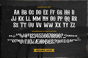 Albertson - Vintage Font, a Serif Font by Arterfak Project (Thumbnail 10 of 13)
