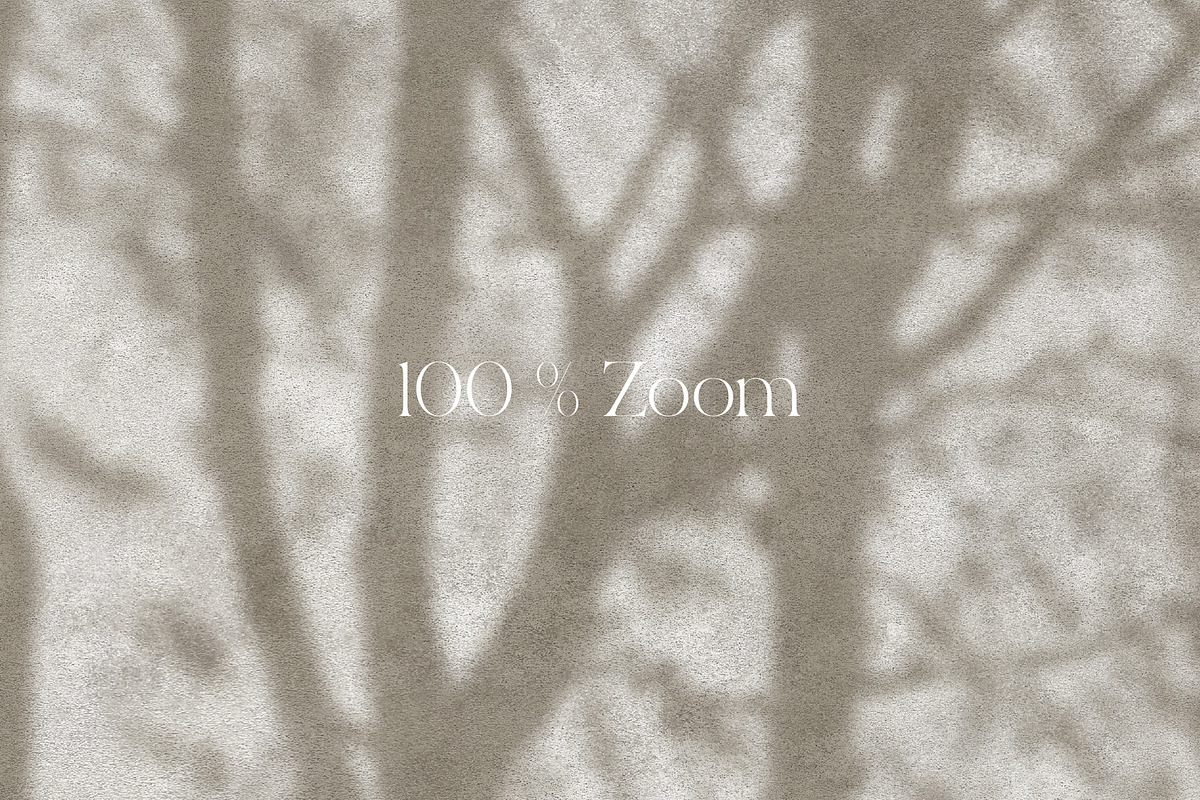 Shadows – wall mural collection, a Wallpaper Graphic by Timofi Art (Photo 9 of 17)