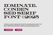Dominate - Condensed Serif Font, a Serif Font by Wasabib Studio (Thumbnail 5 of 8)