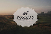 Panhandle Vintage Serif, a Serif Font by Callie Rian & Co. (Thumbnail 8 of 14)