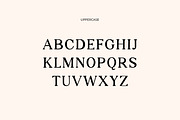 Catelyna Modern Serif Font, a Serif Font by UICreative (Thumbnail 4 of 12)