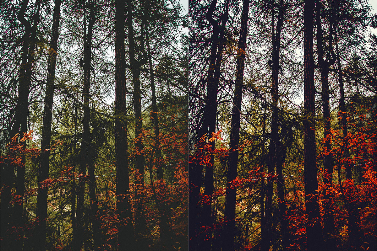 Fall - Autmun Photoshop Actions, an Action Add-On by Bato (Photo 10 of 10)