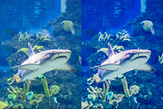 14 Ocean Blue Lightroom Presets, a Preset Add-On by RamsaGraphi (Thumbnail 9 of 10)