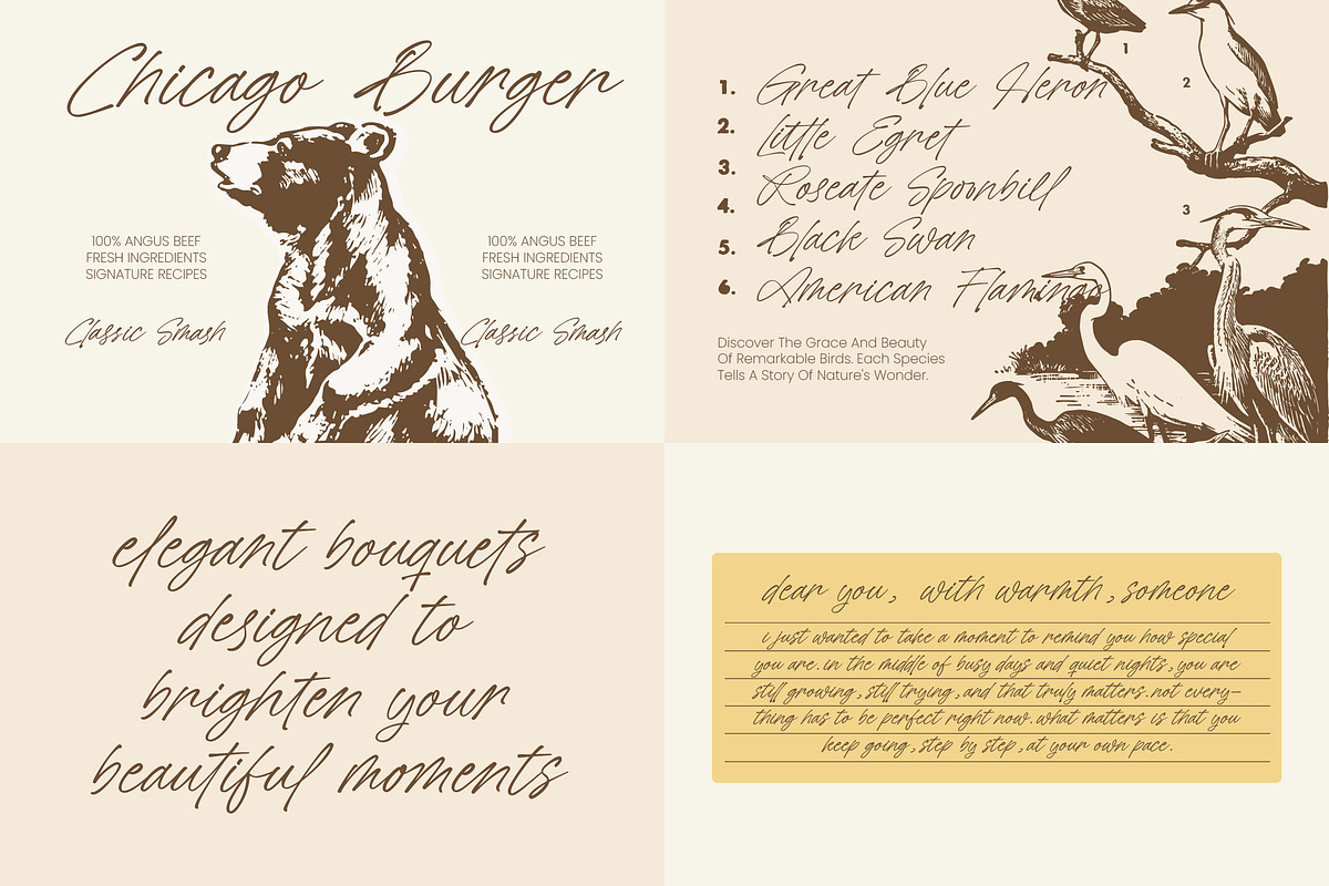 Wild Belmarty Casual Handwritten, a Script Font by Letterena Studios Script (Photo 6 of 15)