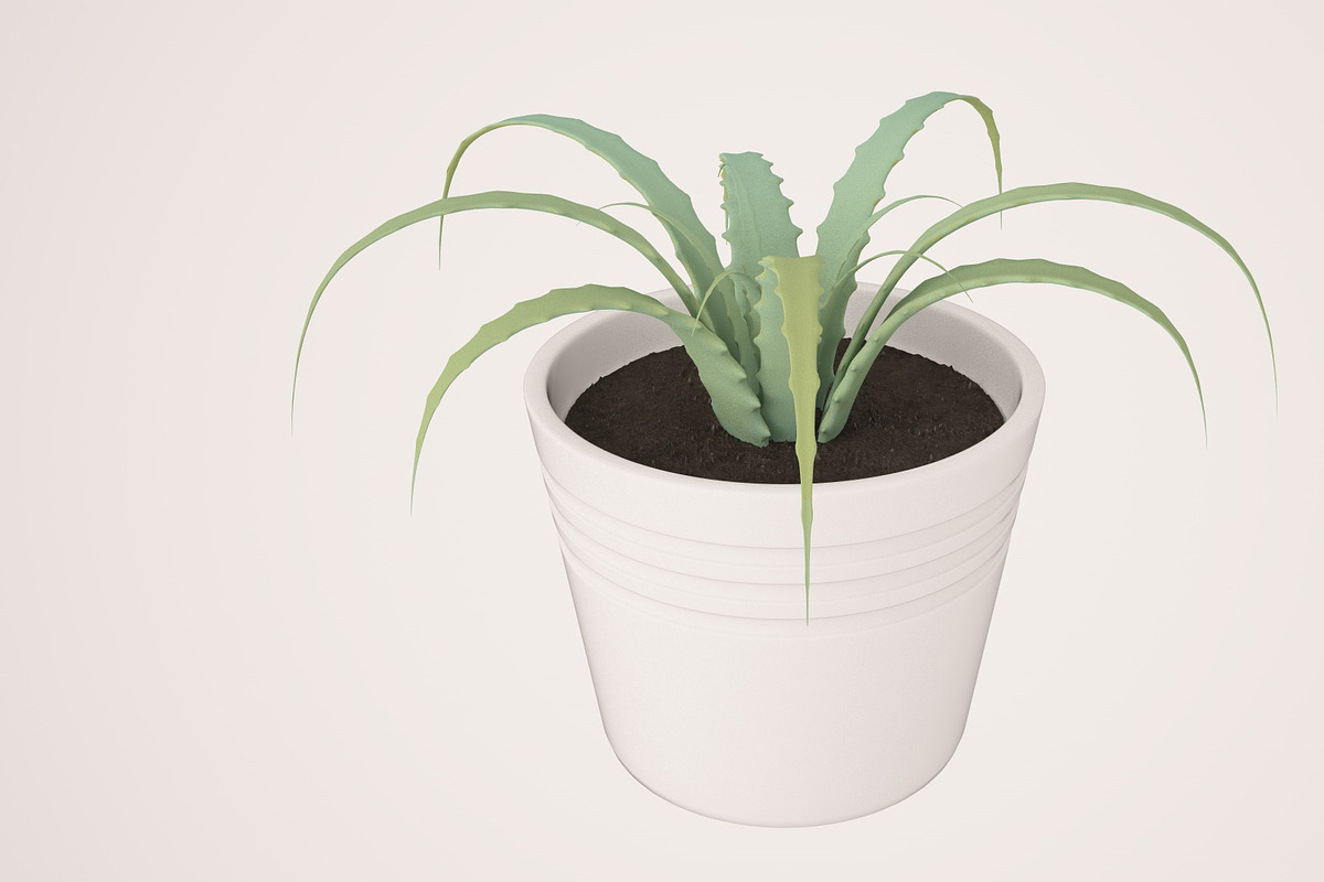 Plant n°1, an Object 3D Model by 3D Furnishing (Photo 4 of 20)