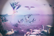 Indie Camera for Adobe Photoshop, an Action Add-On by Guerillacraft (Thumbnail 9 of 13)