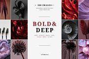 Dark Floral & Mineral Stock Photos, a Nature Photo by Tale.Haus (Thumbnail 1 of 17)