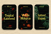 CF Kataleya - Art Nouveau Display, a Sans Serif Font by Indotype Foundry (Thumbnail 3 of 10)