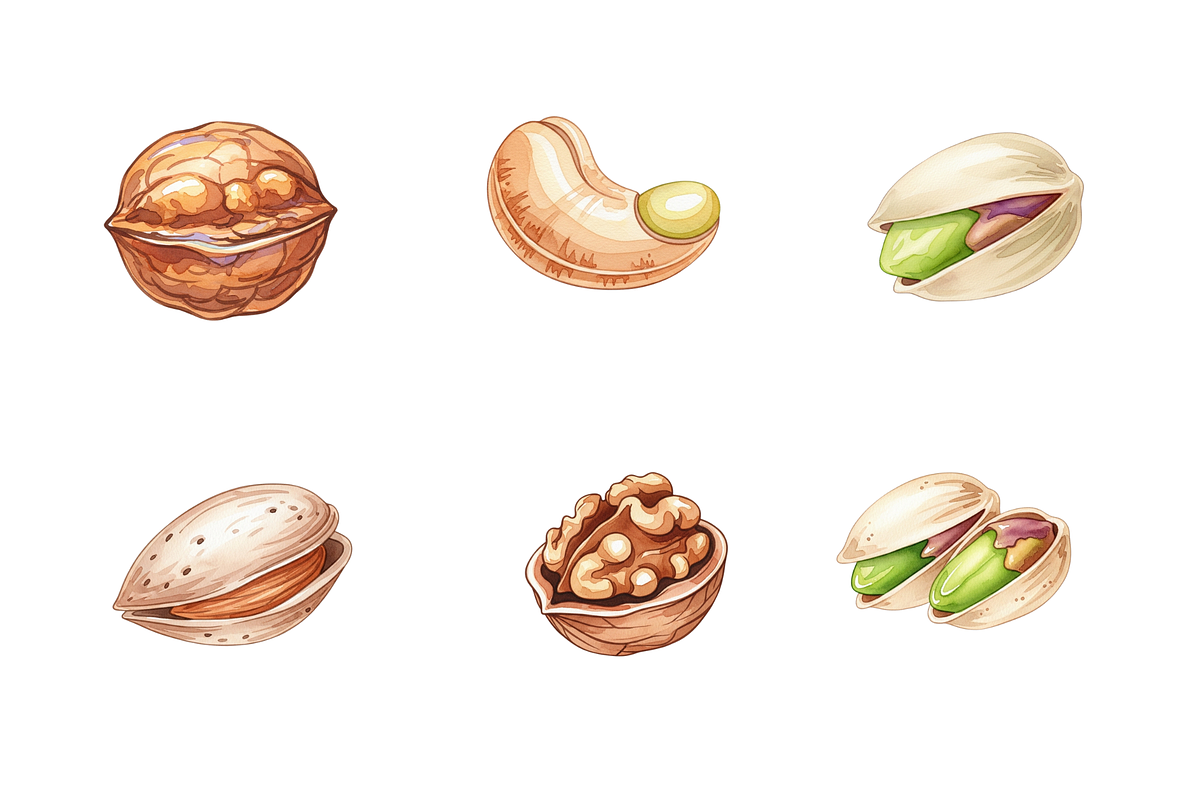 Watercolor Nuts Clipart, a Food Illustration by BerryPieArt (Photo 3 of 4)