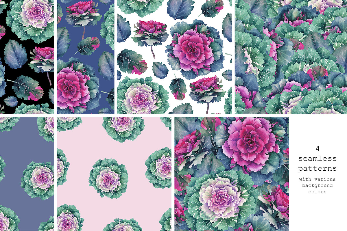 Watercolor Flowering Kale, a Decorative Illustration by Ekaterina Glazkova (Photo 4 of 7)