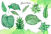 Watercolor jungle set, an Illustration by Watercolor & sketches (Thumbnail 2 of 13)