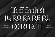 Cresilla Paramount - Font Trio, a Serif Font by Suza Studio (Thumbnail 9 of 13)