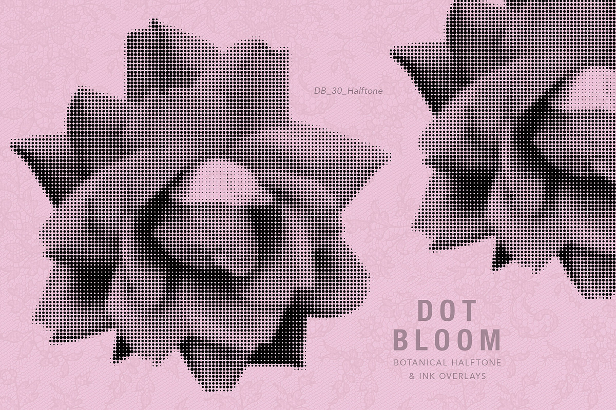 Floral Halftone & Ink PNG Overlays, an Object Graphic by alonahaidash (Photo 11 of 11)