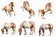 Spring Horse Clipart, an Illustration by Designworld (Thumbnail 7 of 7)