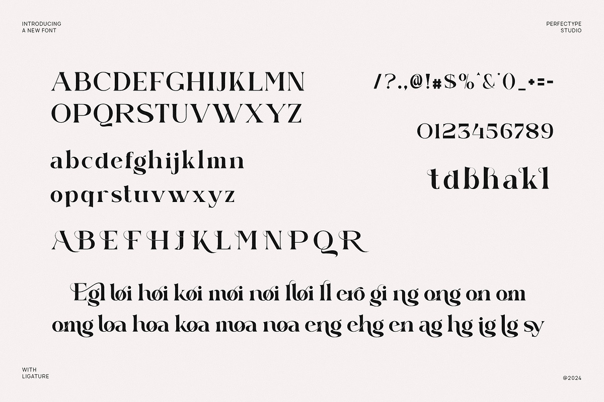 Gekoind Elegant Serif Font Typeface, a Serif Font by Perfectype (Photo 6 of 6)