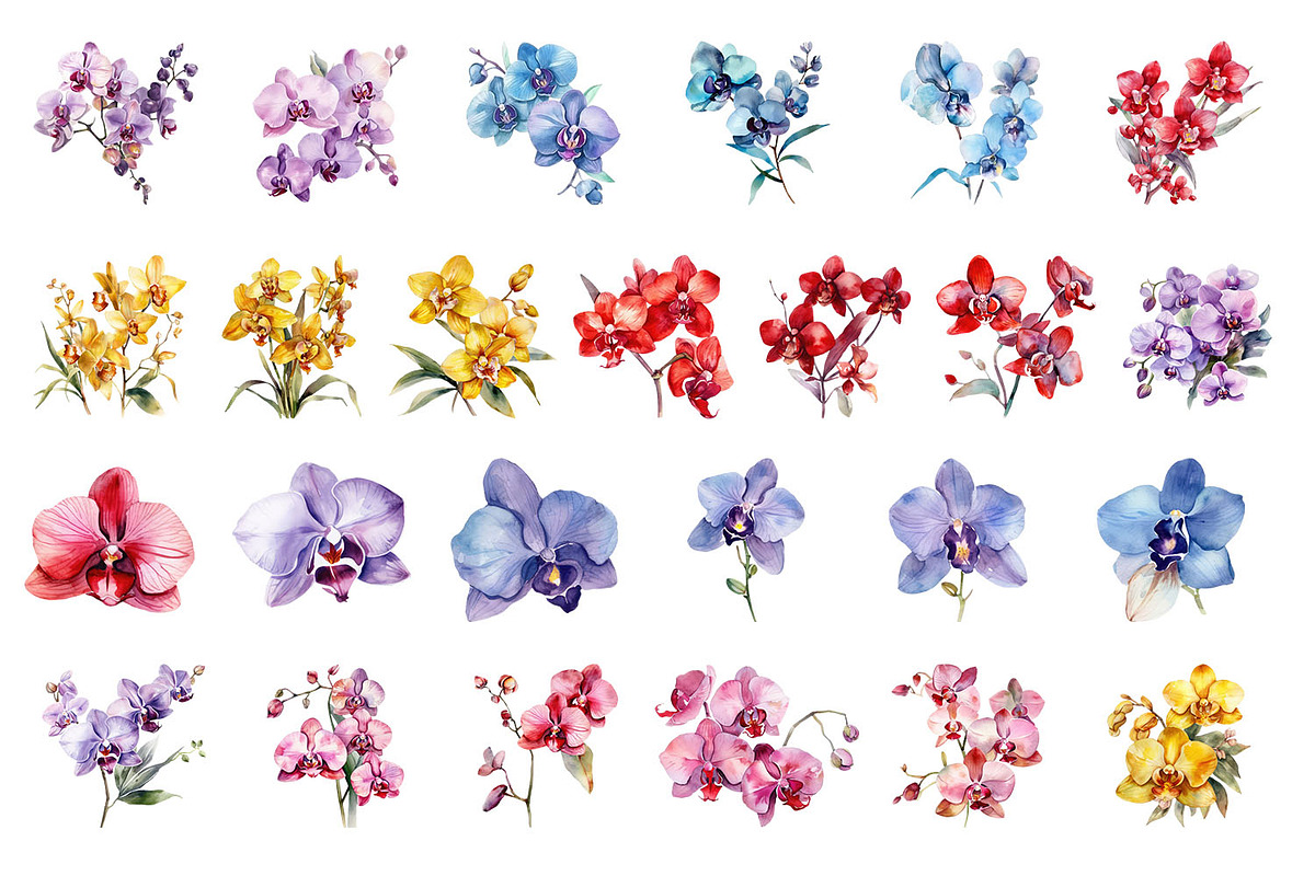 Orchids. Watercolor clipart, a Decorative Illustration by ElenazlataArt (Photo 2 of 6)