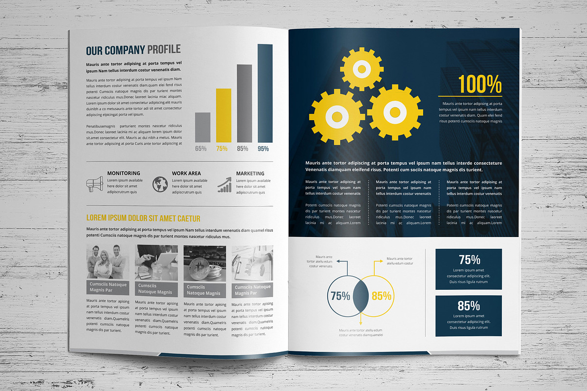 Annual Report Template V10, a Brochure Template by JanySultana (Photo 4 of 18)