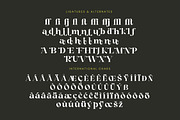 Angfia Relaftio Modern Serif Font, a Script Font by Letterena Studios (Thumbnail 14 of 15)